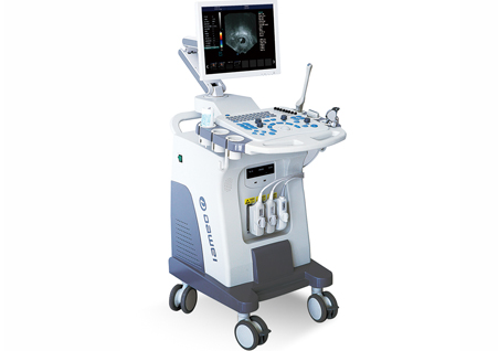 DW-480,全數字可視人流機,推車式可視人流機